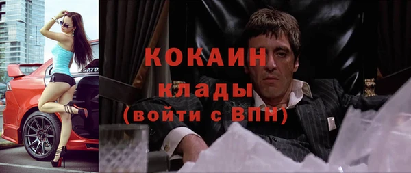 прущие грибы Новокубанск