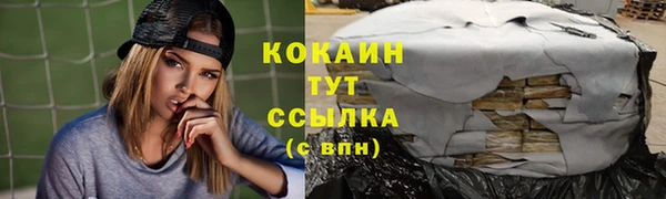 прущие грибы Новокубанск