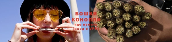 прущие грибы Новокубанск