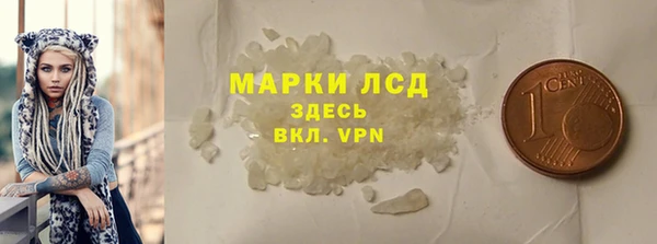 прущие грибы Новокубанск