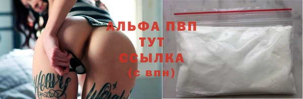 прущие грибы Новокубанск