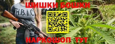 молекула духа Пугачёв