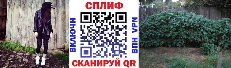 Конопля AK-47  где купить наркотик  гидра ссылка  Челябинск 
